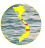NextVietnam Logo
